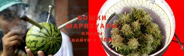 индика Аркадак