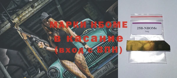 индика Аркадак