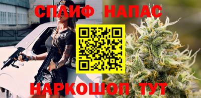 дмт Гай
