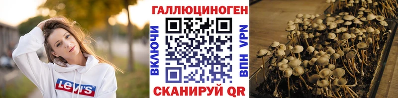 Псилоцибиновые грибы Psilocybine cubensis  Купить где  Ярославль 