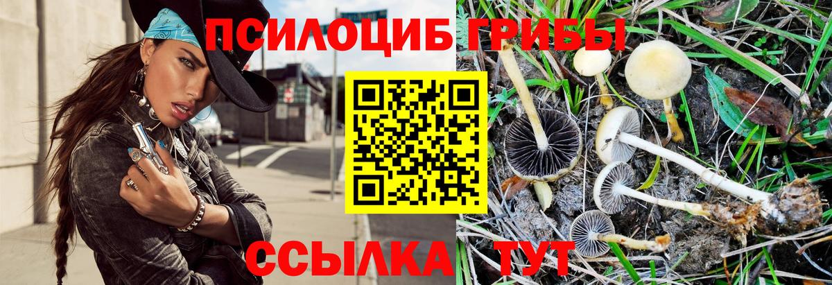 Псилоцибиновые грибы мицелий Ярославль